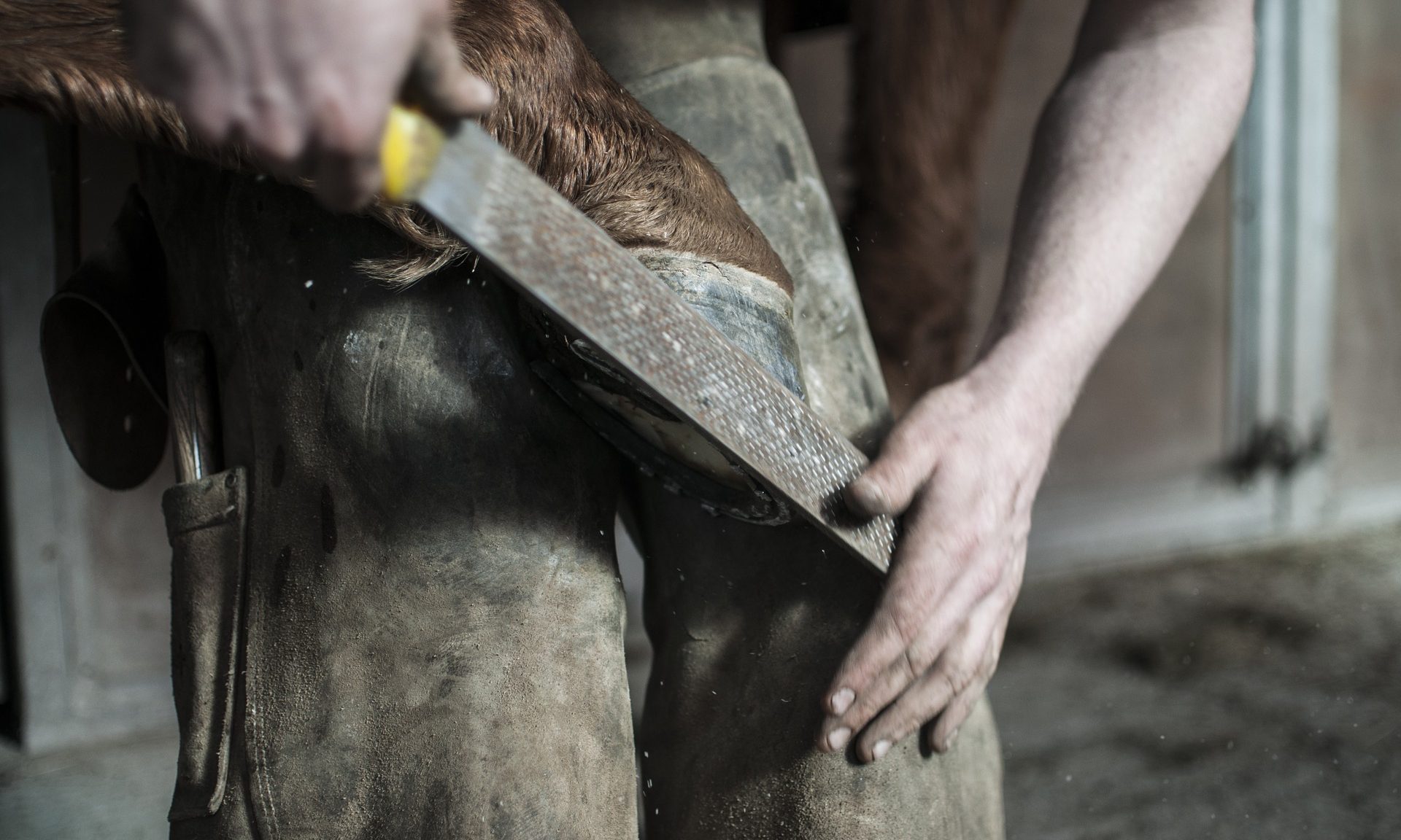 cropped-farrier-1246258_1920.jpg